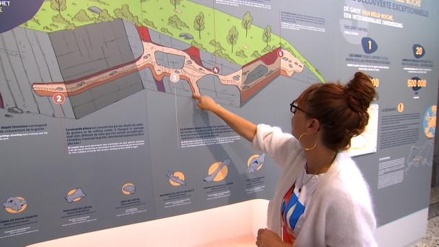 Sprimont : la grotte aux 50.000 fossiles est classée
