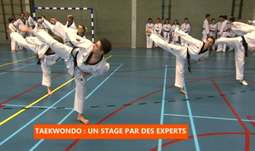Stage de taekwondo à Grâce-Hollogne
