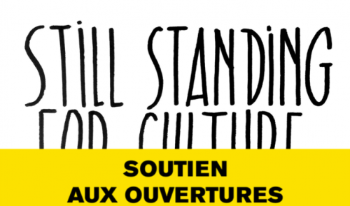 Still Standing for Culture : les actions à Liège, Huy et Sprimont