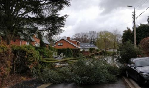 Tempête : 1841 appels au 1722 en région liégeoise 