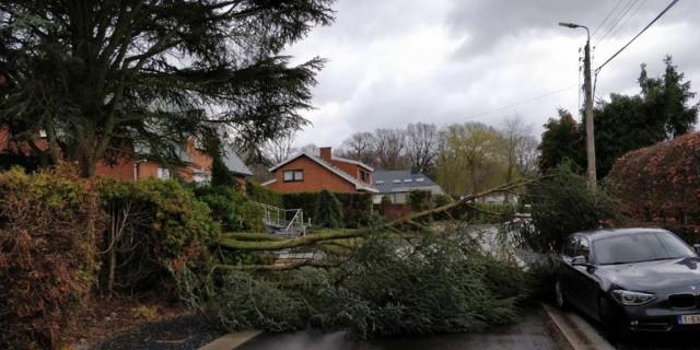 Tempête : 1841 appels au 1722 en région liégeoise 