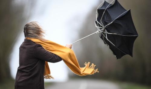 Tempête Eunice : la SNCB neutralise certaines lignes, et ralentit les autres