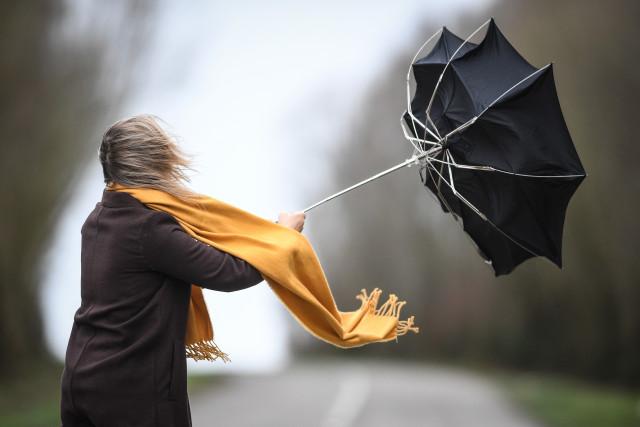 Tempête Eunice : la SNCB neutralise certaines lignes, et ralentit les autres
