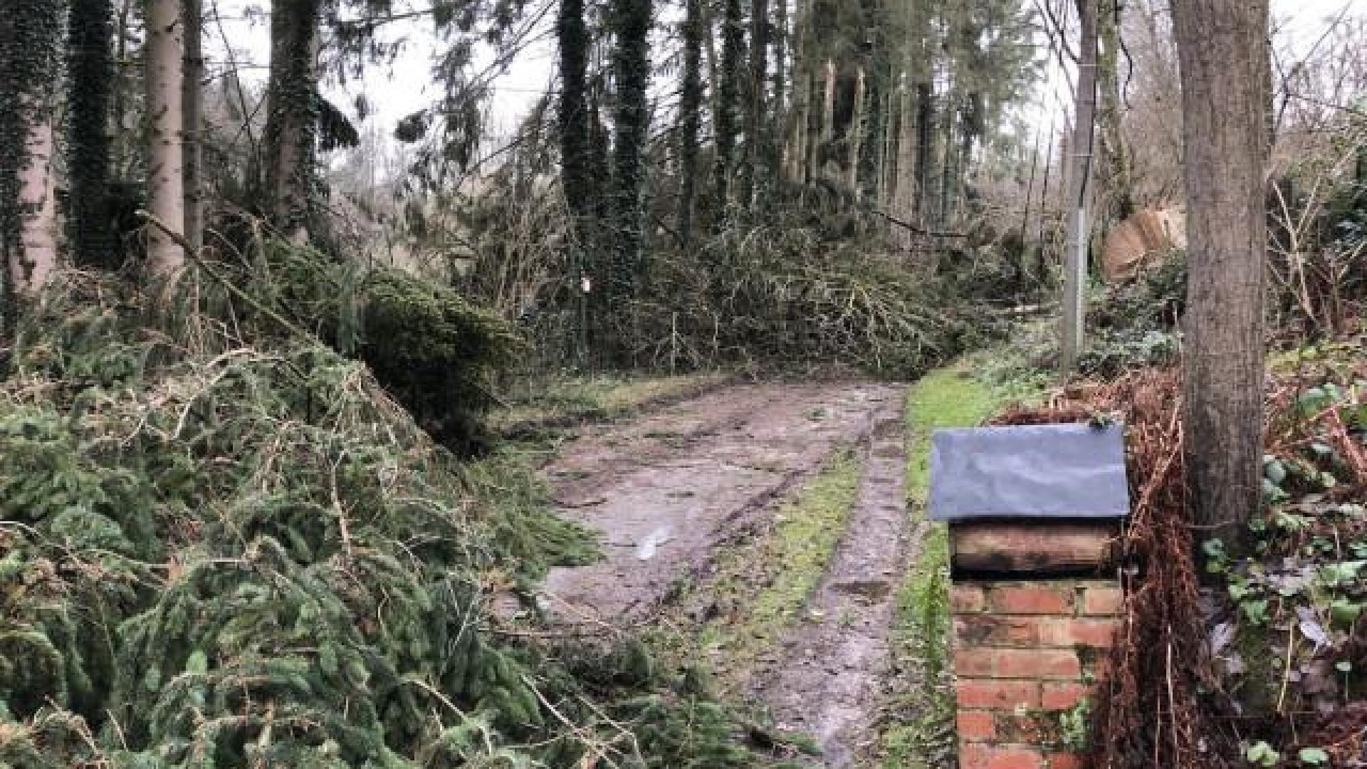 Tempête : une cinquantaine d'interventions des pompiers liégeois