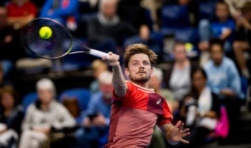 Tennis : David Goffin et Gauthier Onclin en pleine forme