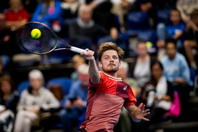 Tennis : David Goffin et Gauthier Onclin en pleine forme