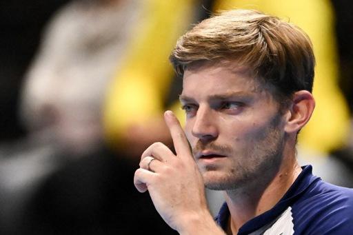 Tennis : Goffin renoue avec la victoire 