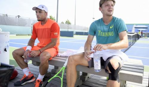 Tennis : situation contrastée pour Steve Darcis et David Goffin