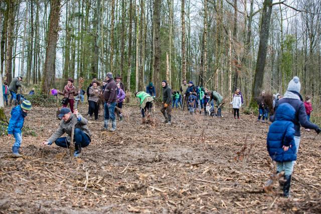 Tinlot : plantation de 3000 arbres 