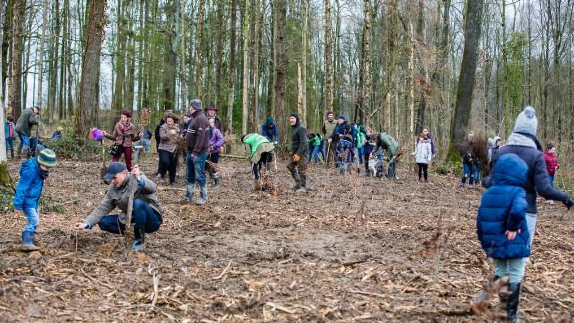 Tinlot : plantation de 3000 arbres 