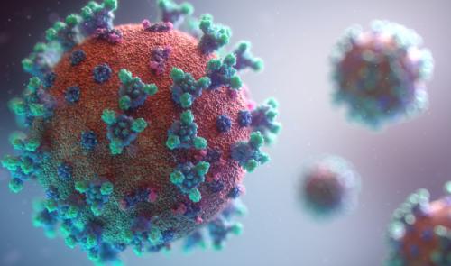 Tous les indicateurs de l'épidémie de Covid en forte baisse