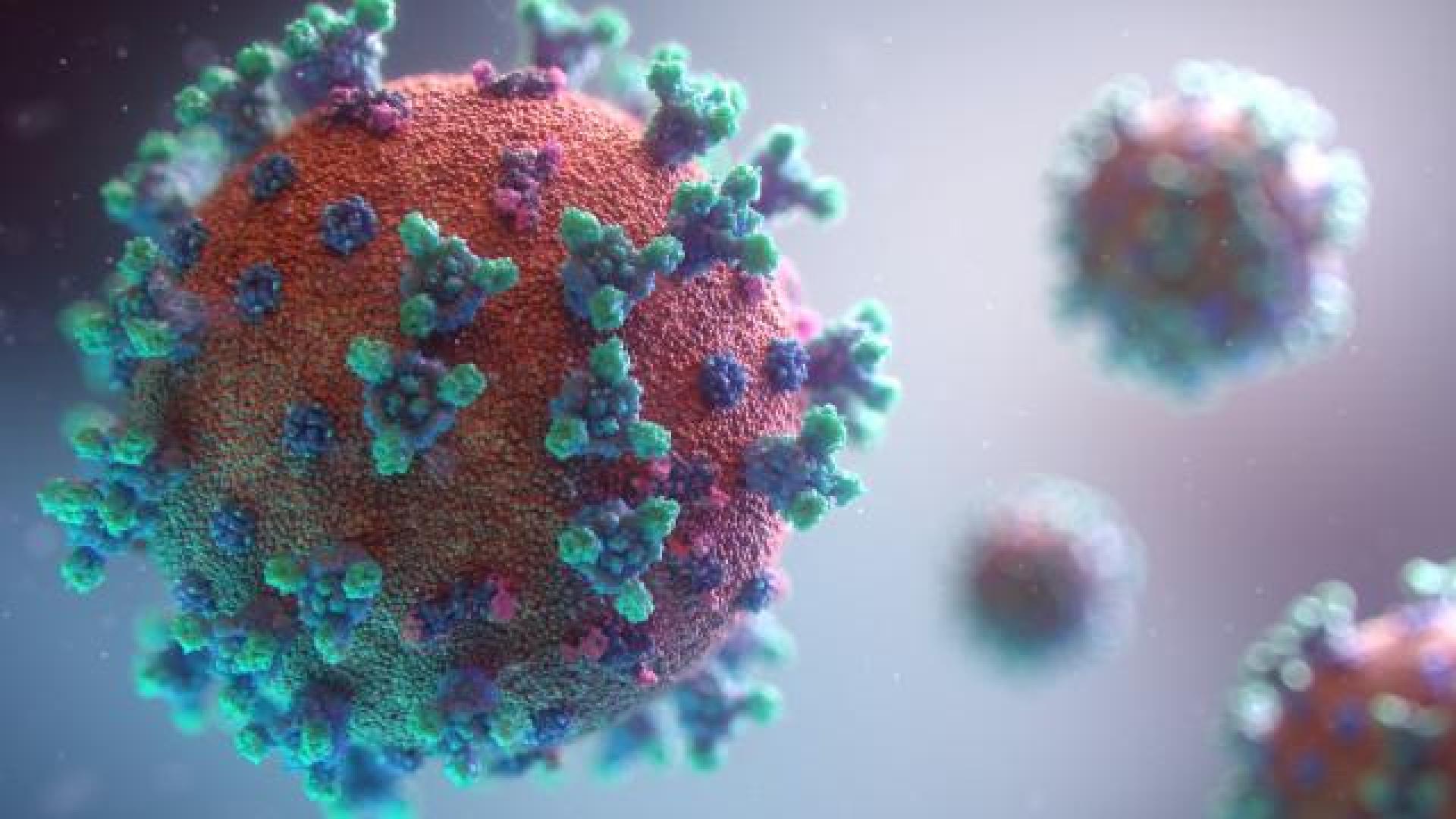 Tous les indicateurs de l'épidémie de Covid en forte baisse