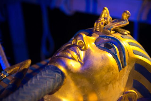 Toutankhamon : 50 000 visiteurs déjà 