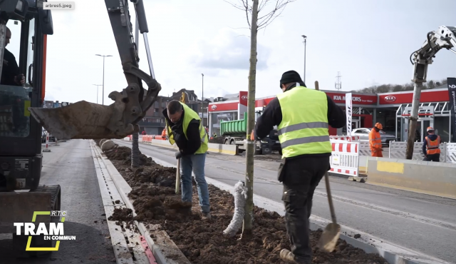 Tram En Commun S5#26 : les premières plantations sur la ligne du tram