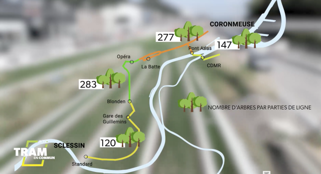 Tram En Commun S6#7 : la grande campagne de plantations arrive