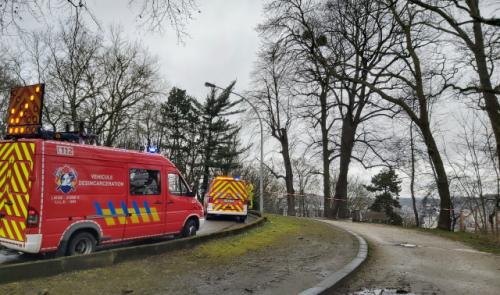Un arbre menace de tomber boulevard Kleyer
