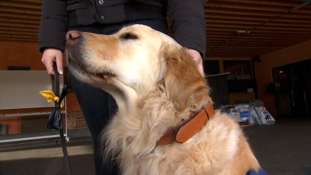 Un chien d'assistance judiciaire pour la zone de police de Liège