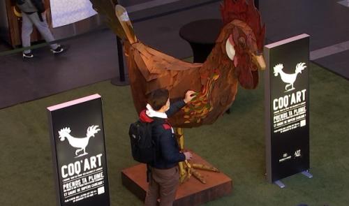 Un coq à remplumer en plein coeur de Liège