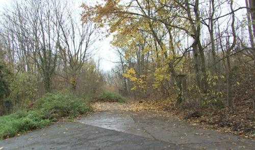 Un crowdfunding pour préserver si nécessaire la Chartreuse et les autres espaces verts liégeois