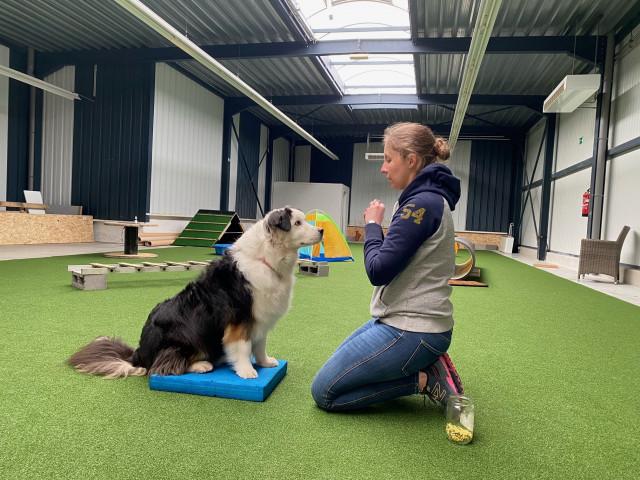 Un nouveau centre canin polyvalent débarque à Huy