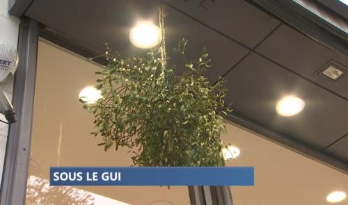 Un Nouvel An sous le gui