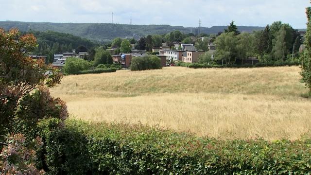 Un projet immobilier sur la prairie des Bruyères inquiète les riverains à Cointe