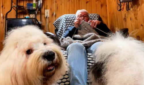 Un pull qui a du chien pour le Prince Laurent !