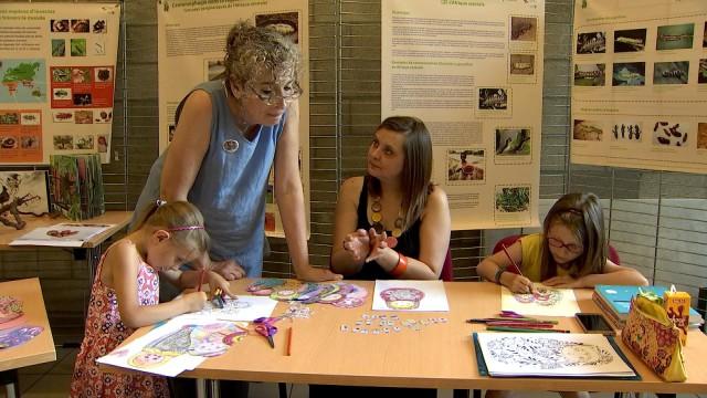 Un stage plume-papier-ciseau pour petits et grands