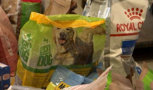 Une chaîne solidaire pour les animaux de compagnie