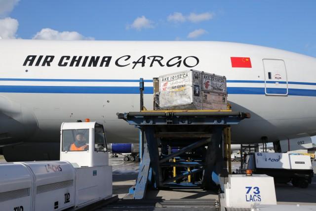 Une liaison cargo hebdomadaire entre Liège Airport et ShangaÍ¯