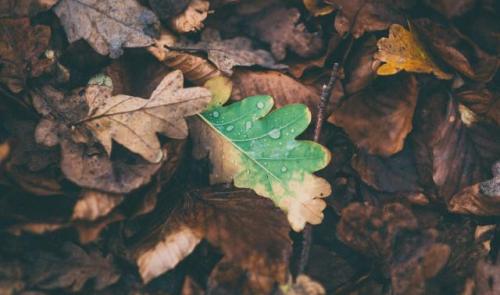 Une semaine au sec avant le retour de la pluie vendredi