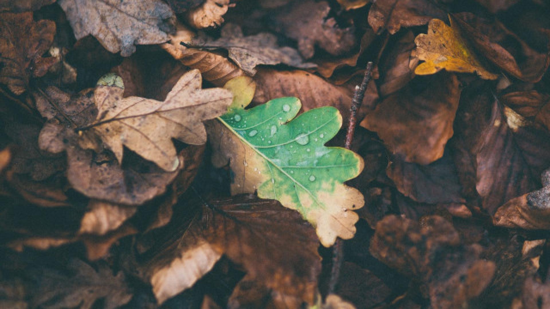 Une semaine au sec avant le retour de la pluie vendredi