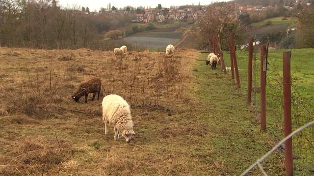 Une solution pour la Ferme des Enfants à Sainte Walburge