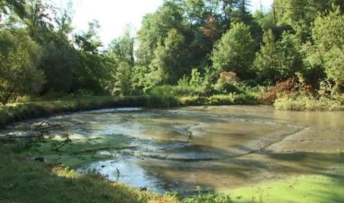 Visé: Gros lifting pour les Etangs de la Julienne