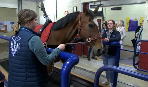 Visite ministérielle chez les vétérinaires de l'ULiège