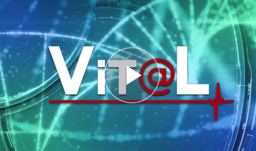 VIT@L : le harcèlement à l'école 