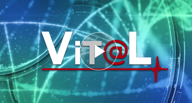 VIT@L : le harcèlement à l'école 