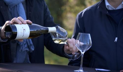VivArdent, de nouveaux vignobles à Sprimont 