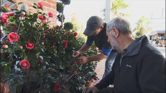 Voilà le printemps : et du travail pour les jardineries