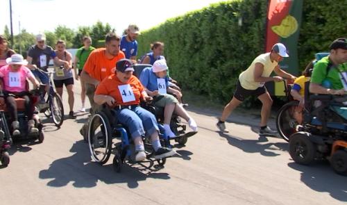 Les Coccinelles font la course !