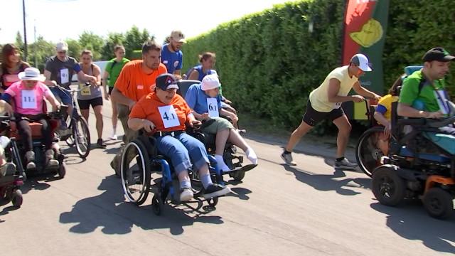 Les Coccinelles font la course !