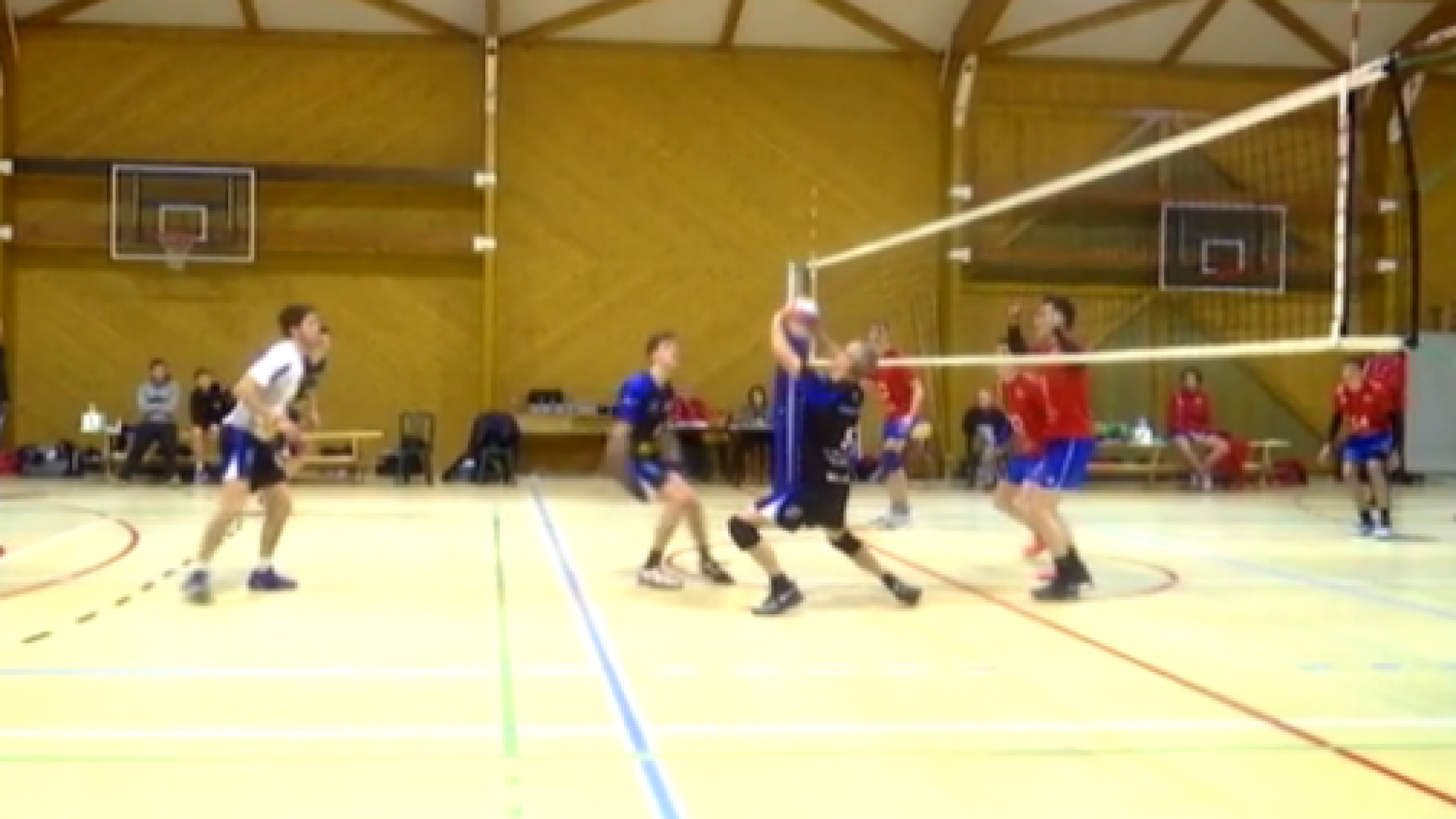 Volley games 17/03
