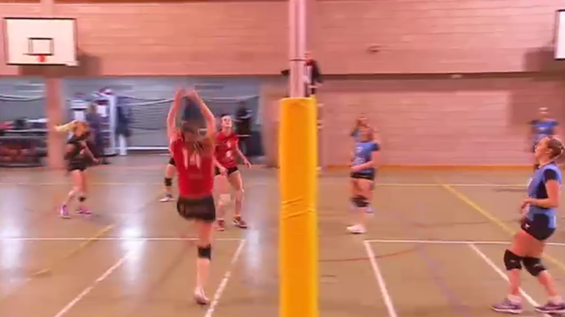 Volley: Saint-Louis Waremme - Dison-Pepinster
