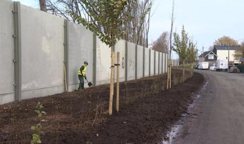 Vottem : 1800 plantations en bordure d'autoroute