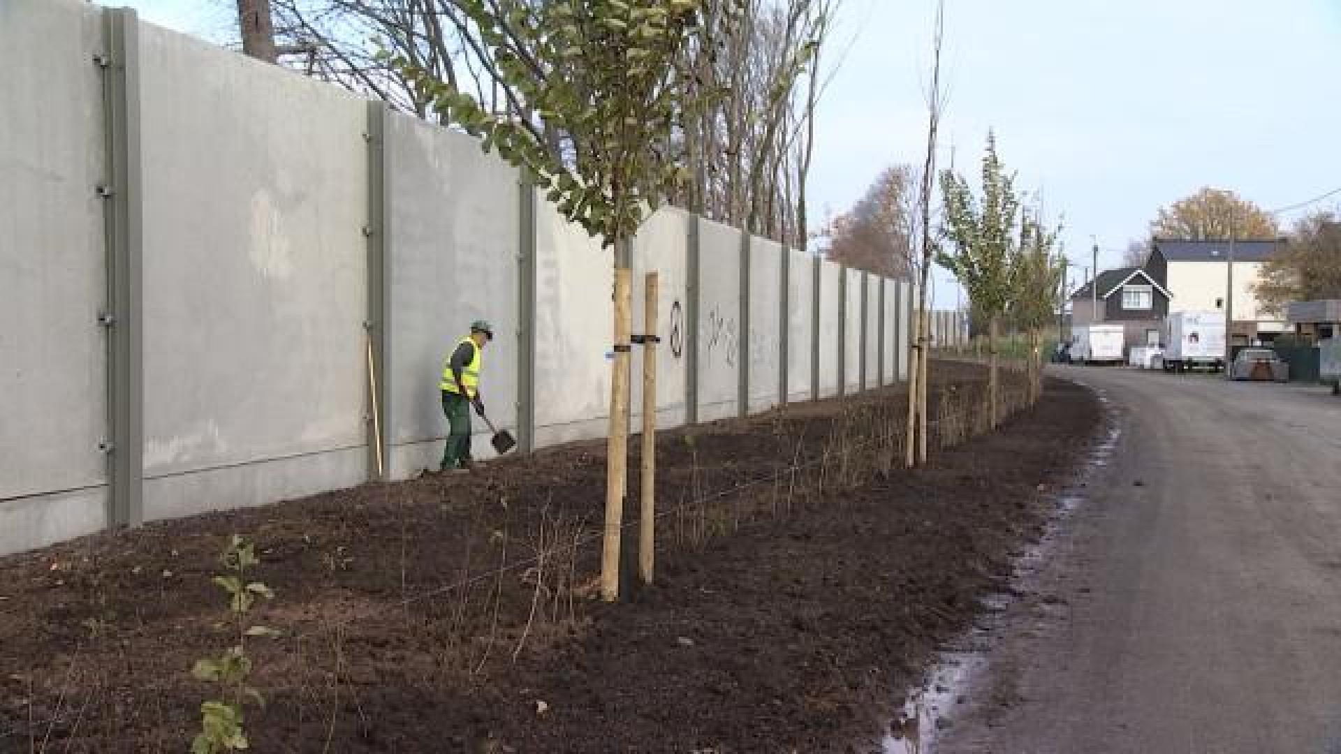 Vottem : 1800 plantations en bordure d'autoroute