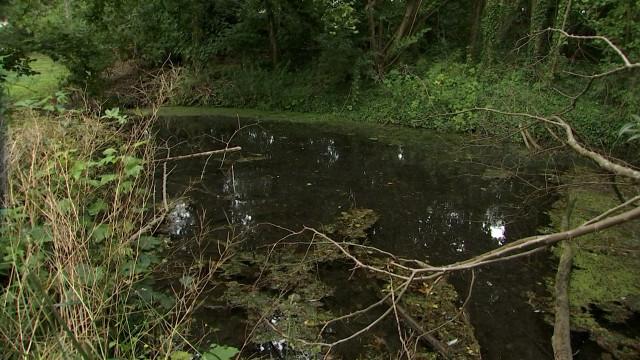 Waremme: 2 sites naturels en voie de réhabilitation