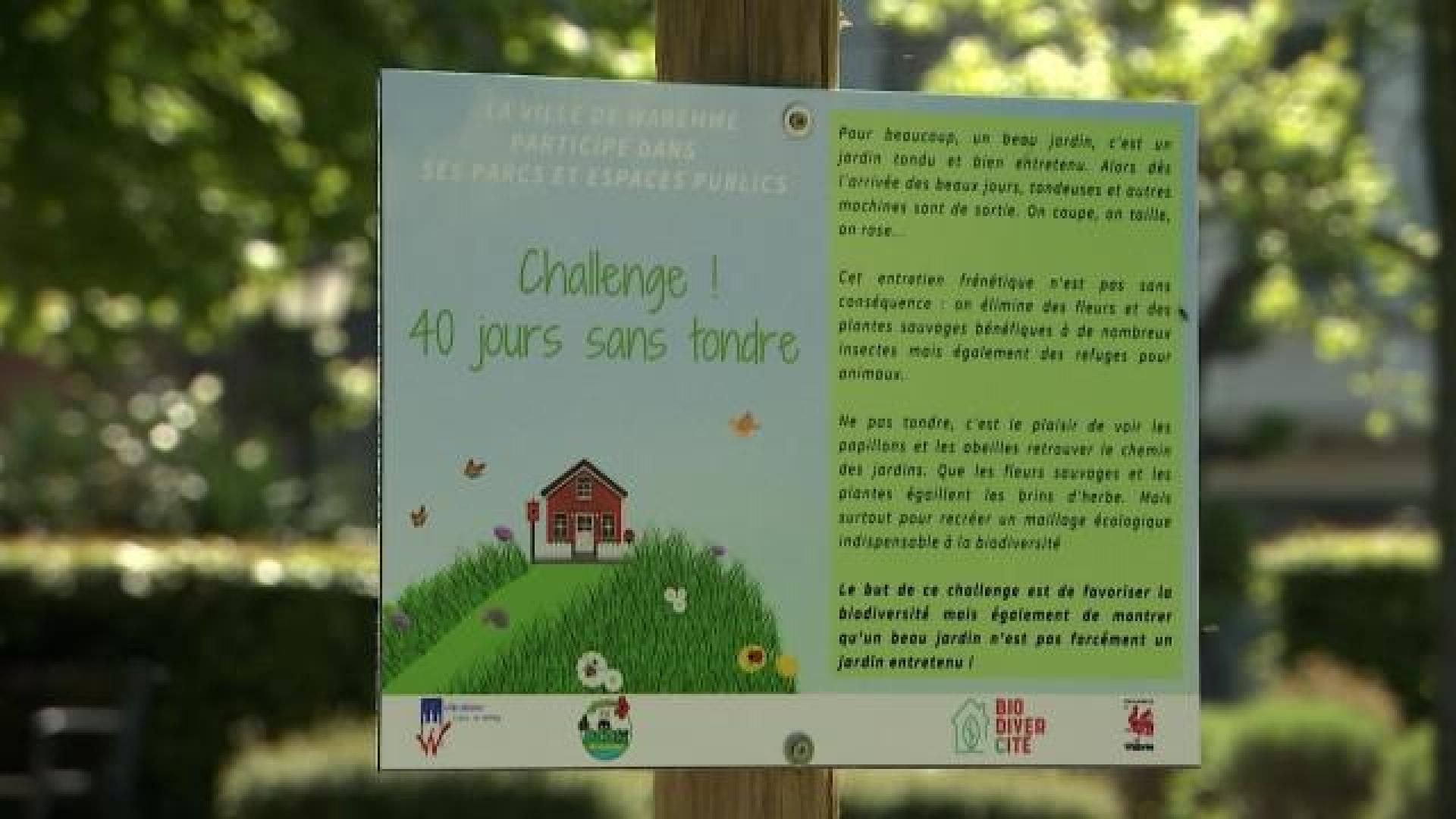 Début de la récolte des Asperges de Wallonie