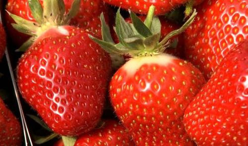 Waremme: la fête de la fraise démarre ce soir