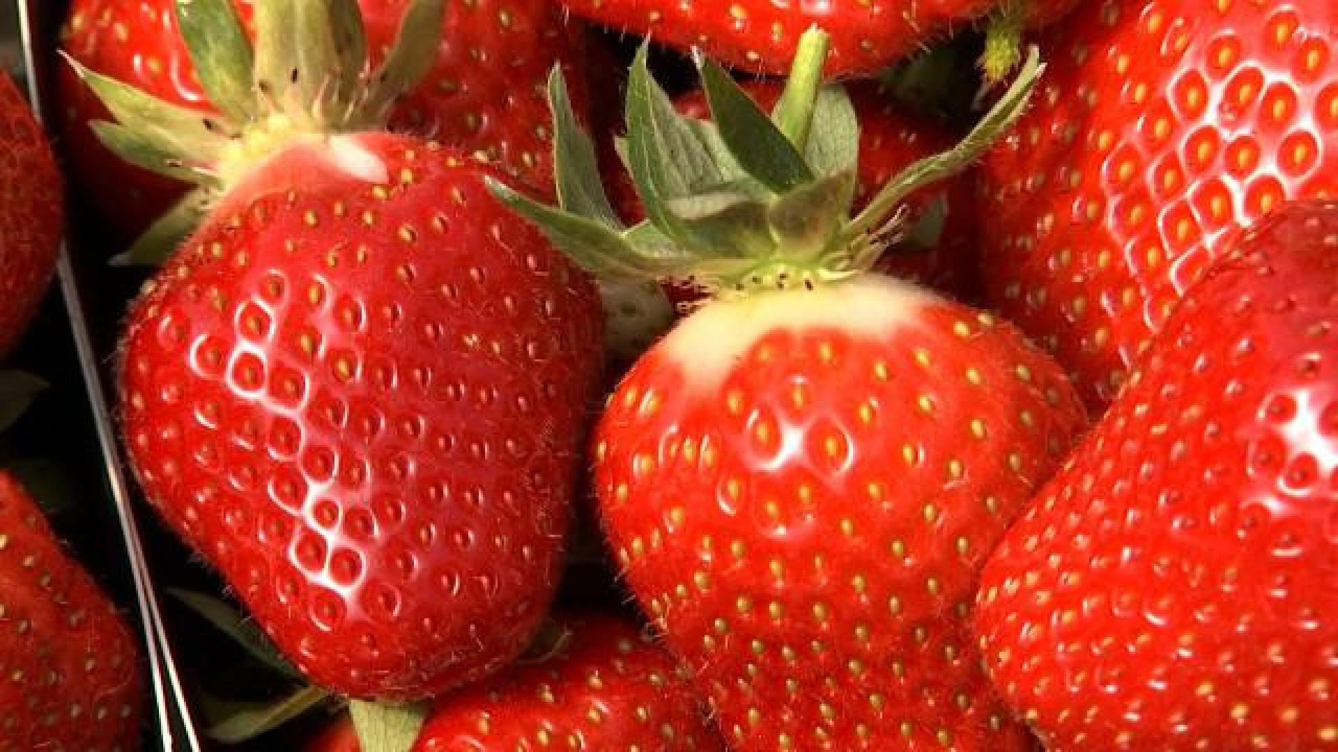 Waremme: la fête de la fraise démarre ce soir