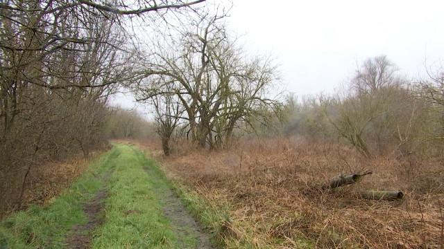 Waremme: un réel projet pour la réserve naturelle de Bleret